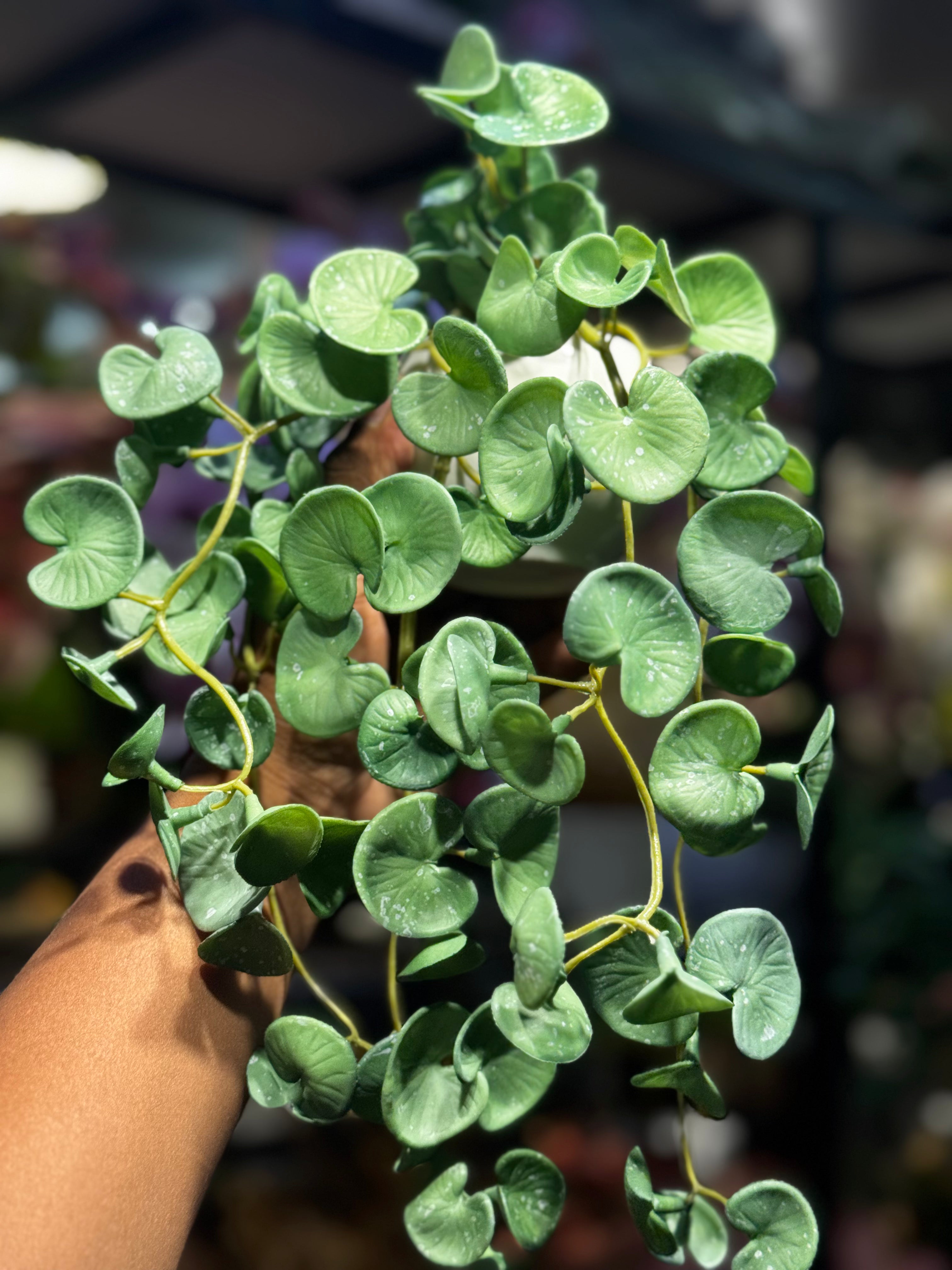Real Looking hanging plants