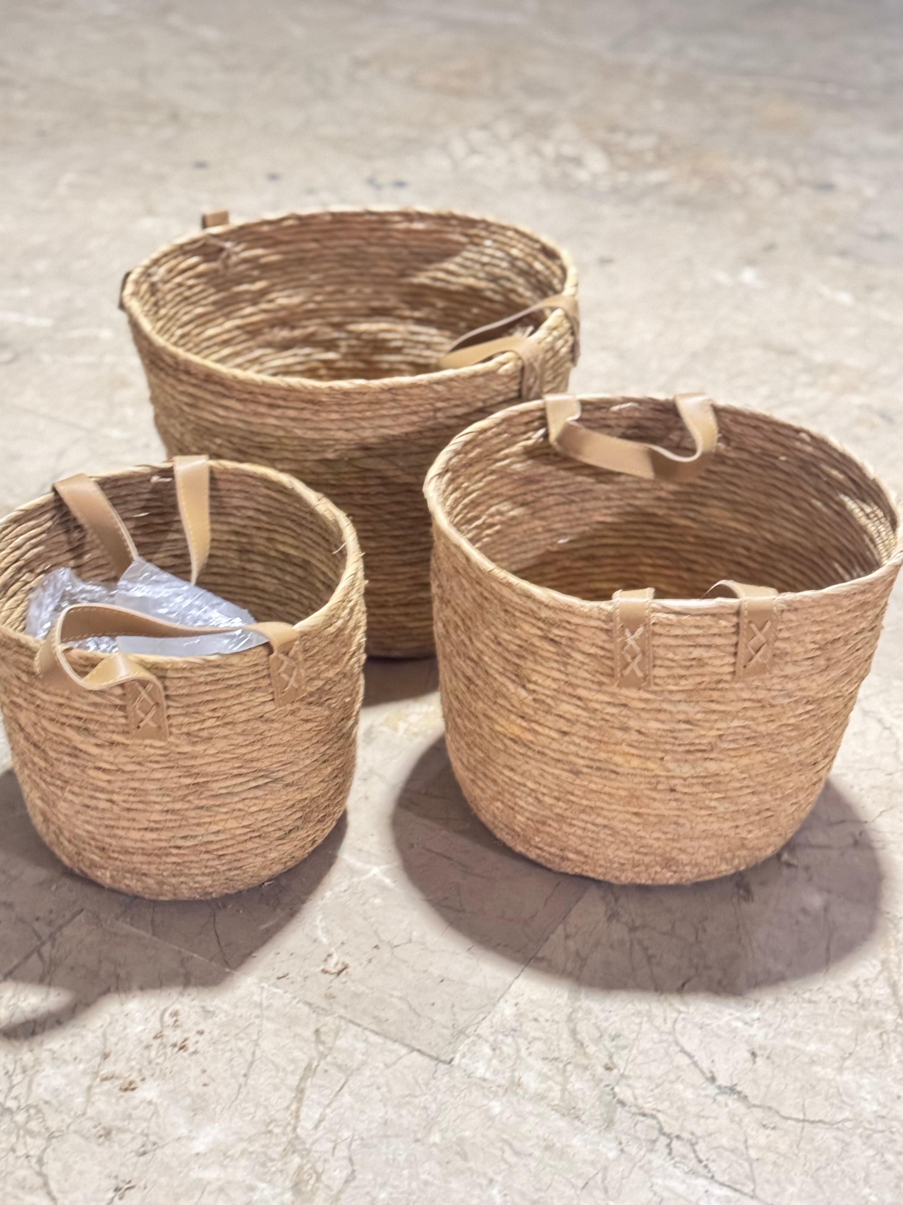 Cane planters