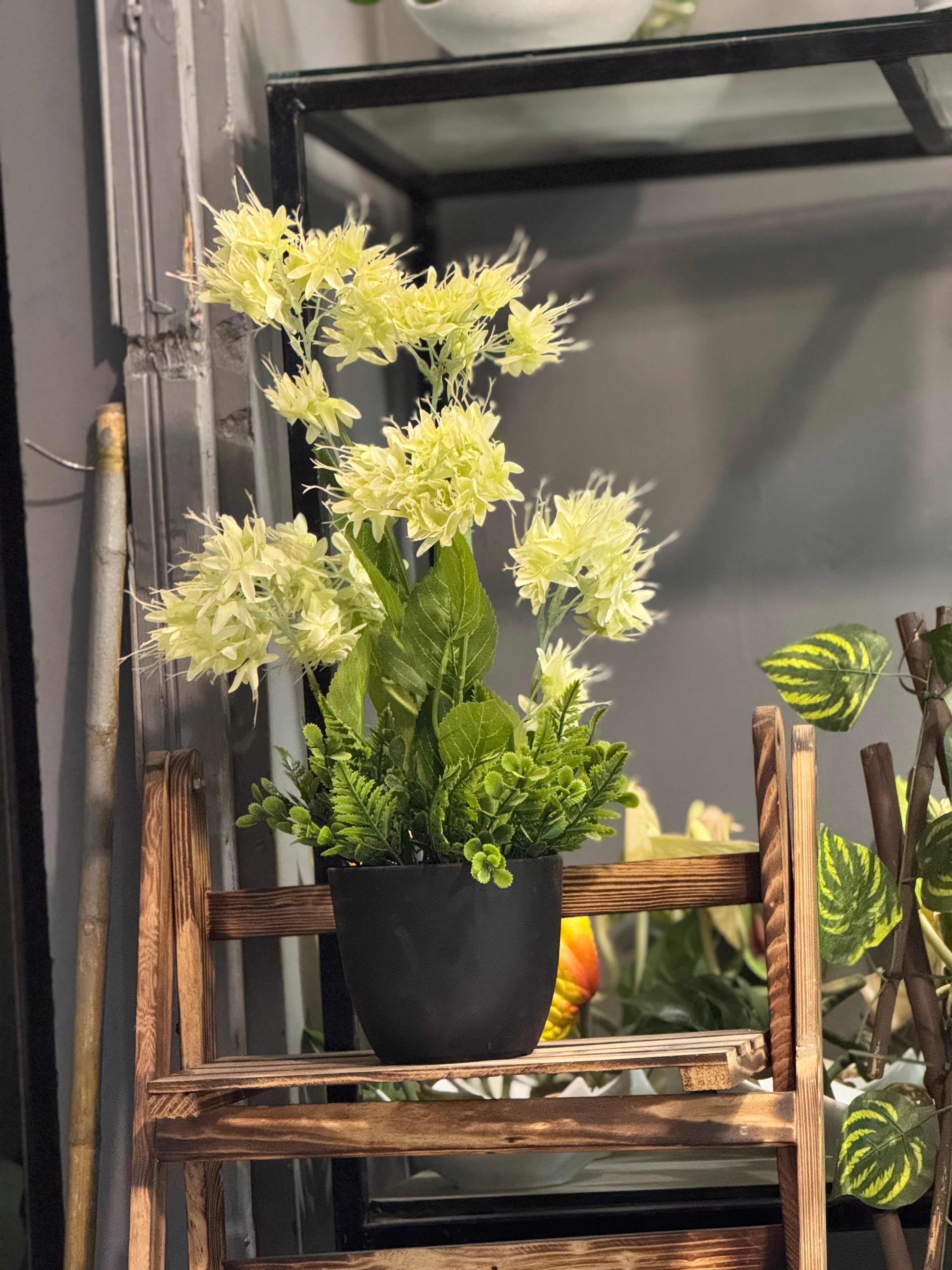 HYDENZIA FLORAL POTS