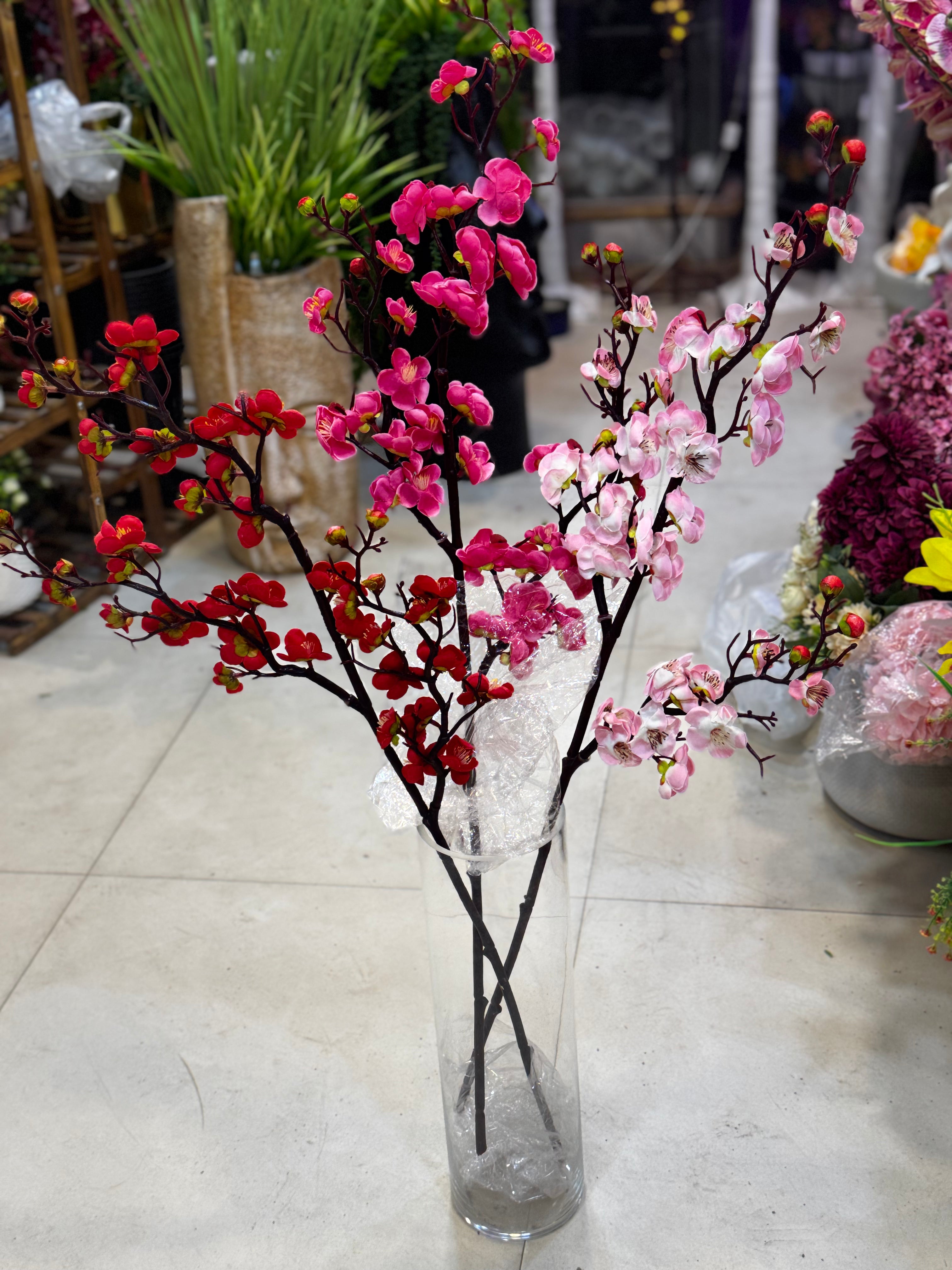 Premium cherry blossom