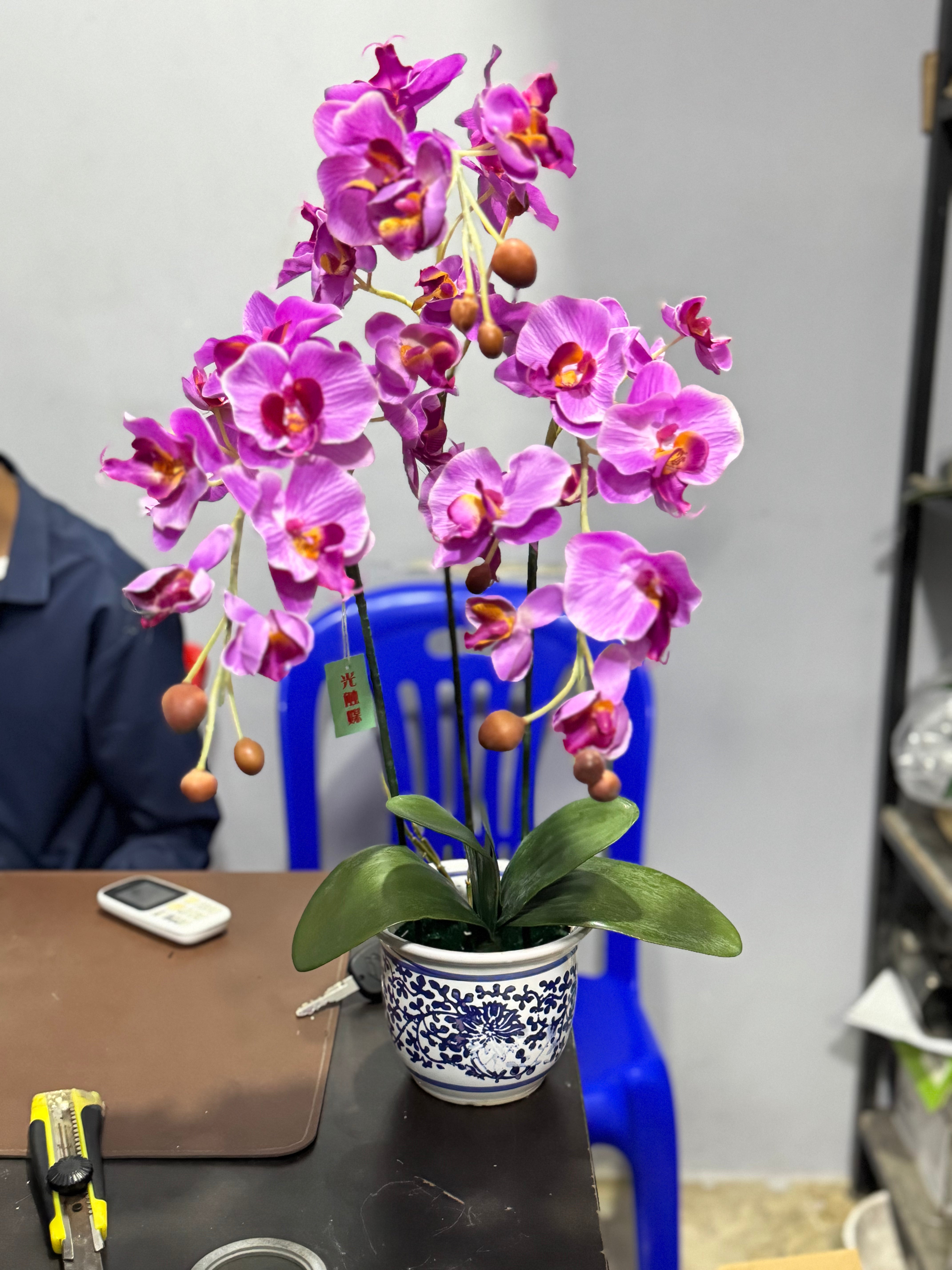 Premium Artificial Magenta Phalaenopsis Orchid with Blue Ceramic Bowl