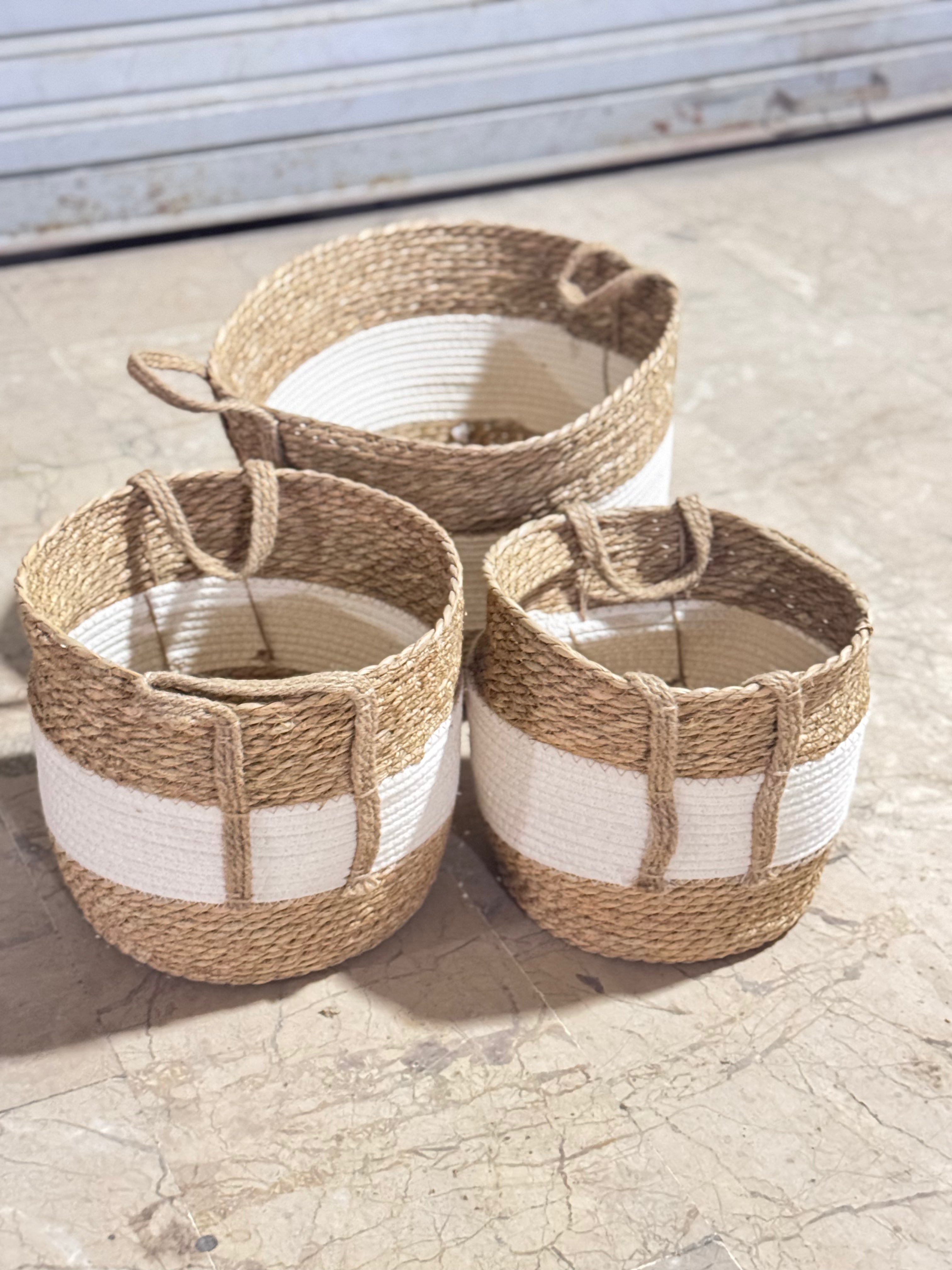 Cane planters