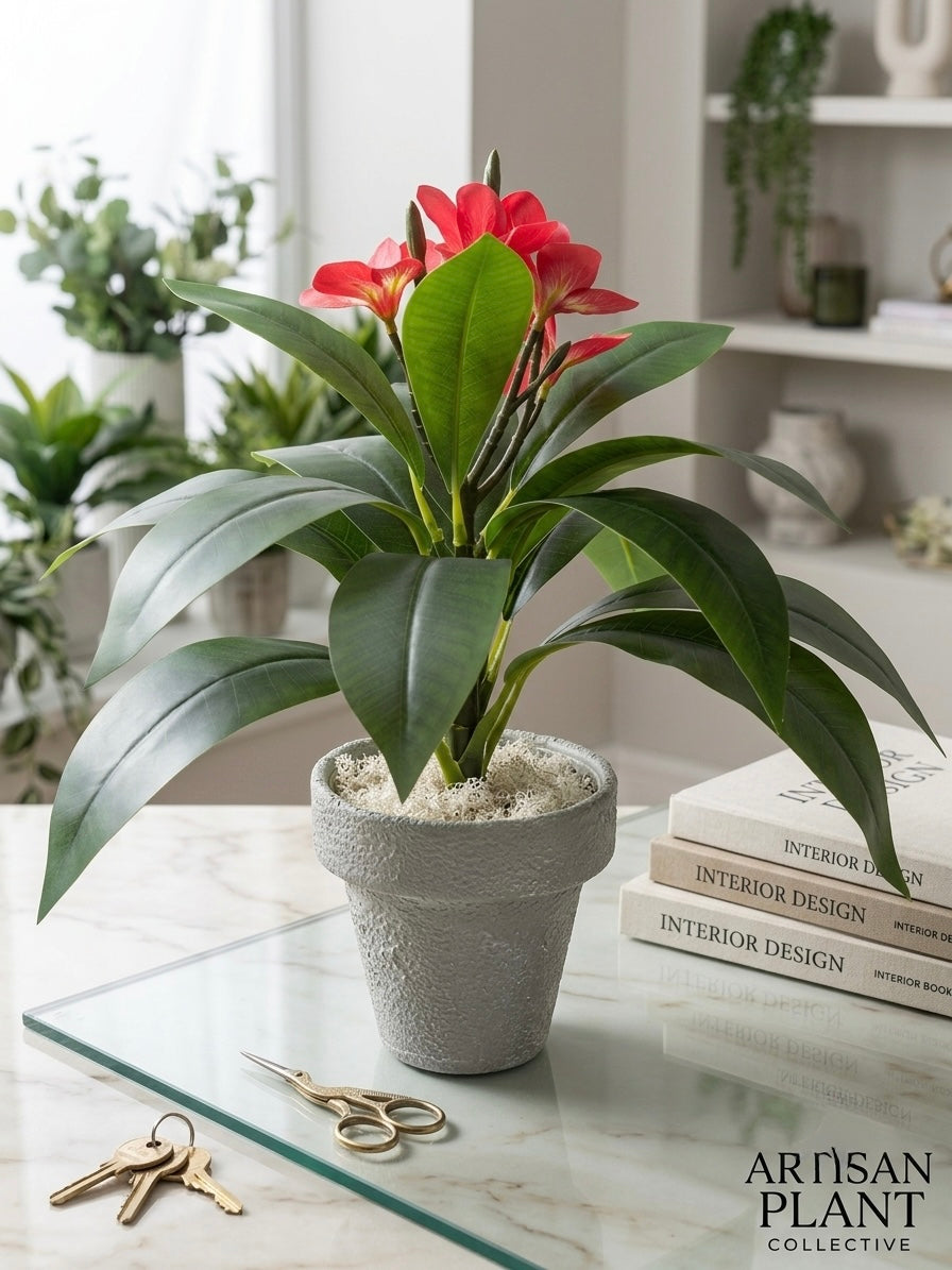 Premium plumeria Flower pot