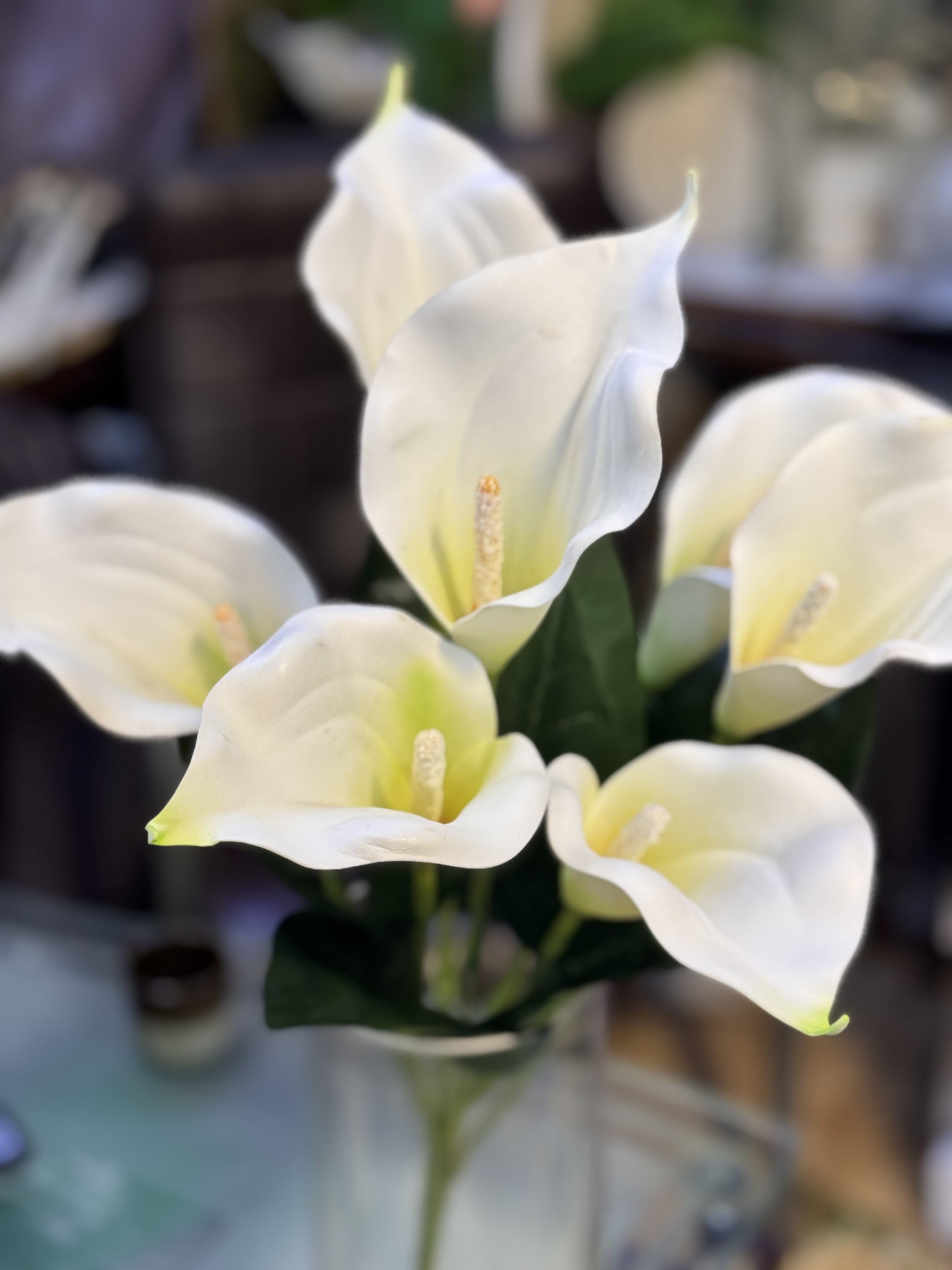 Cala-lily bunch