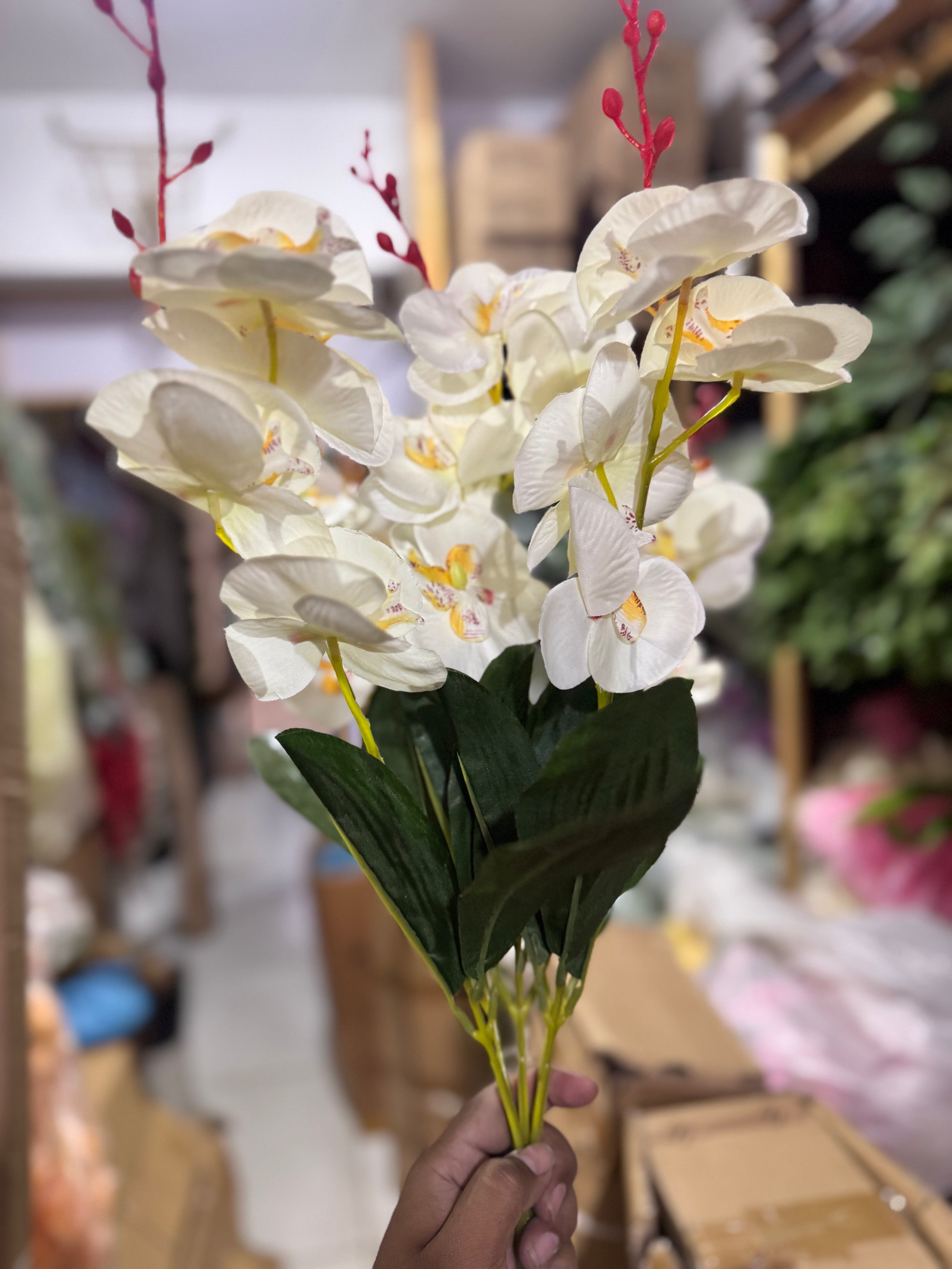 Orchid floral stems