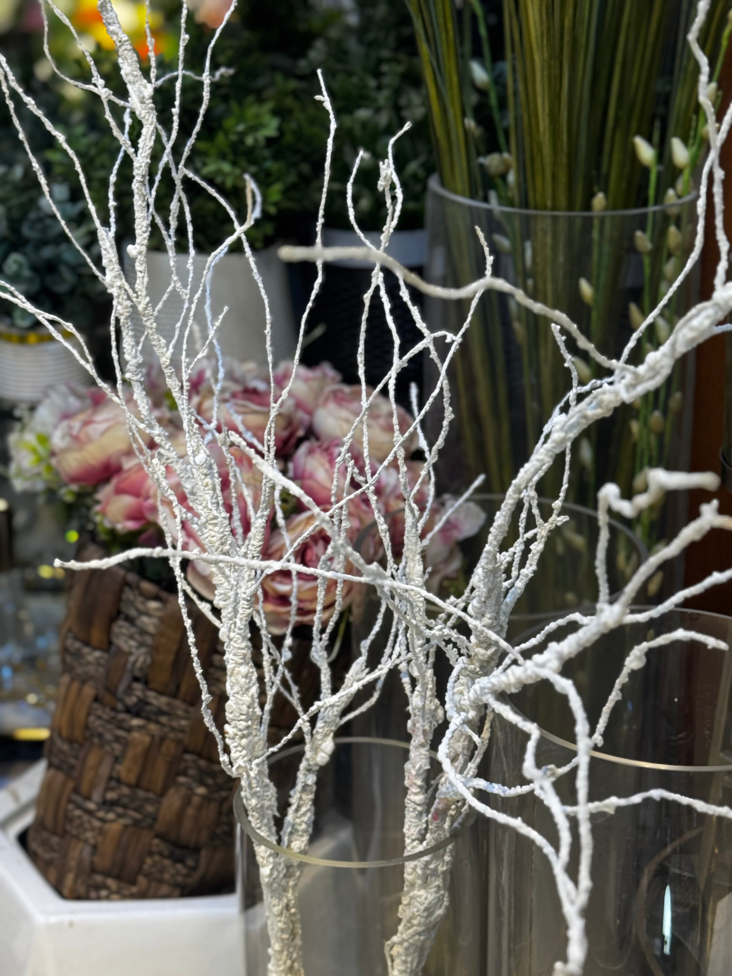 Soft Dried White Branches