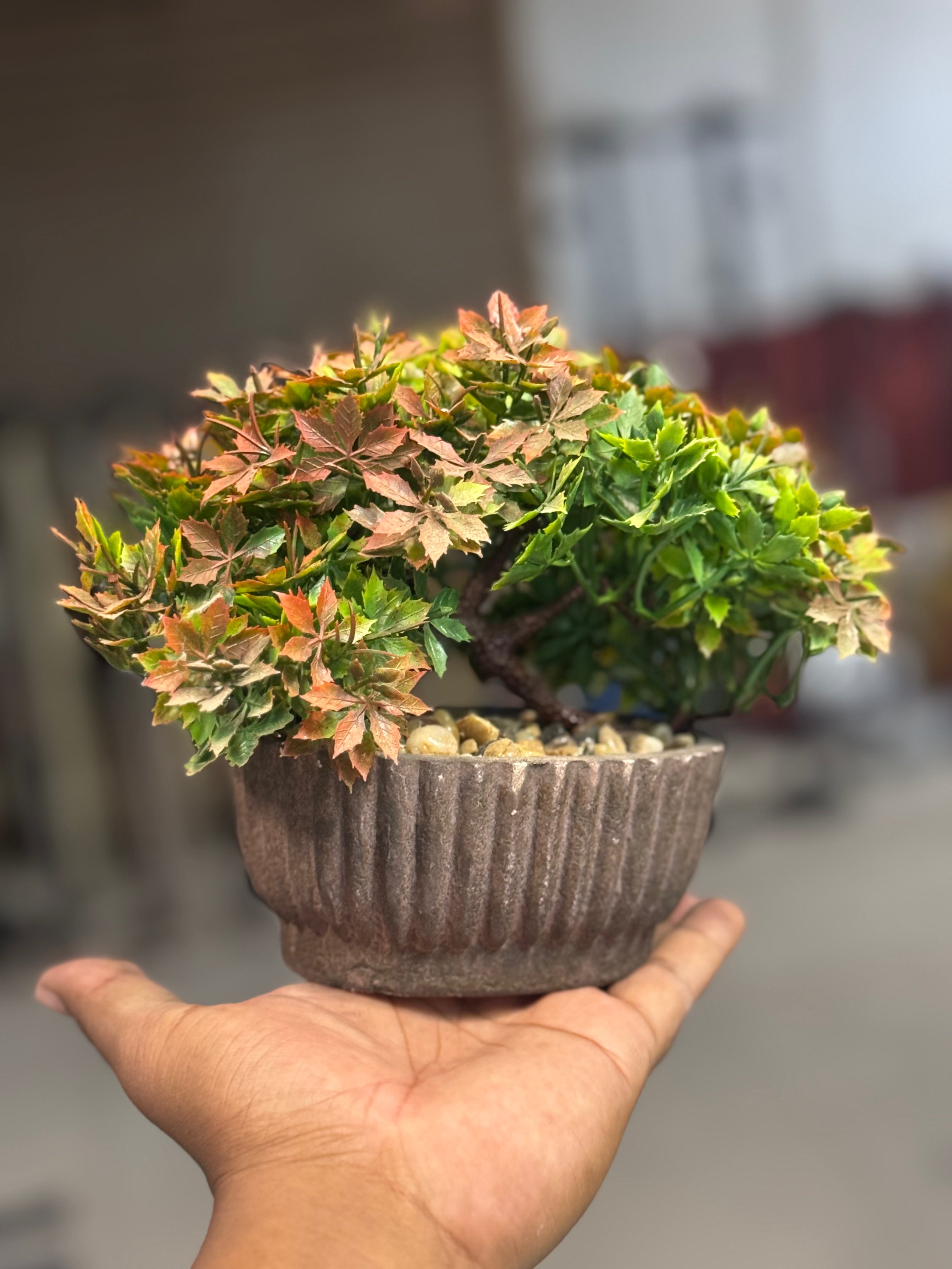 Mini bonsai pot