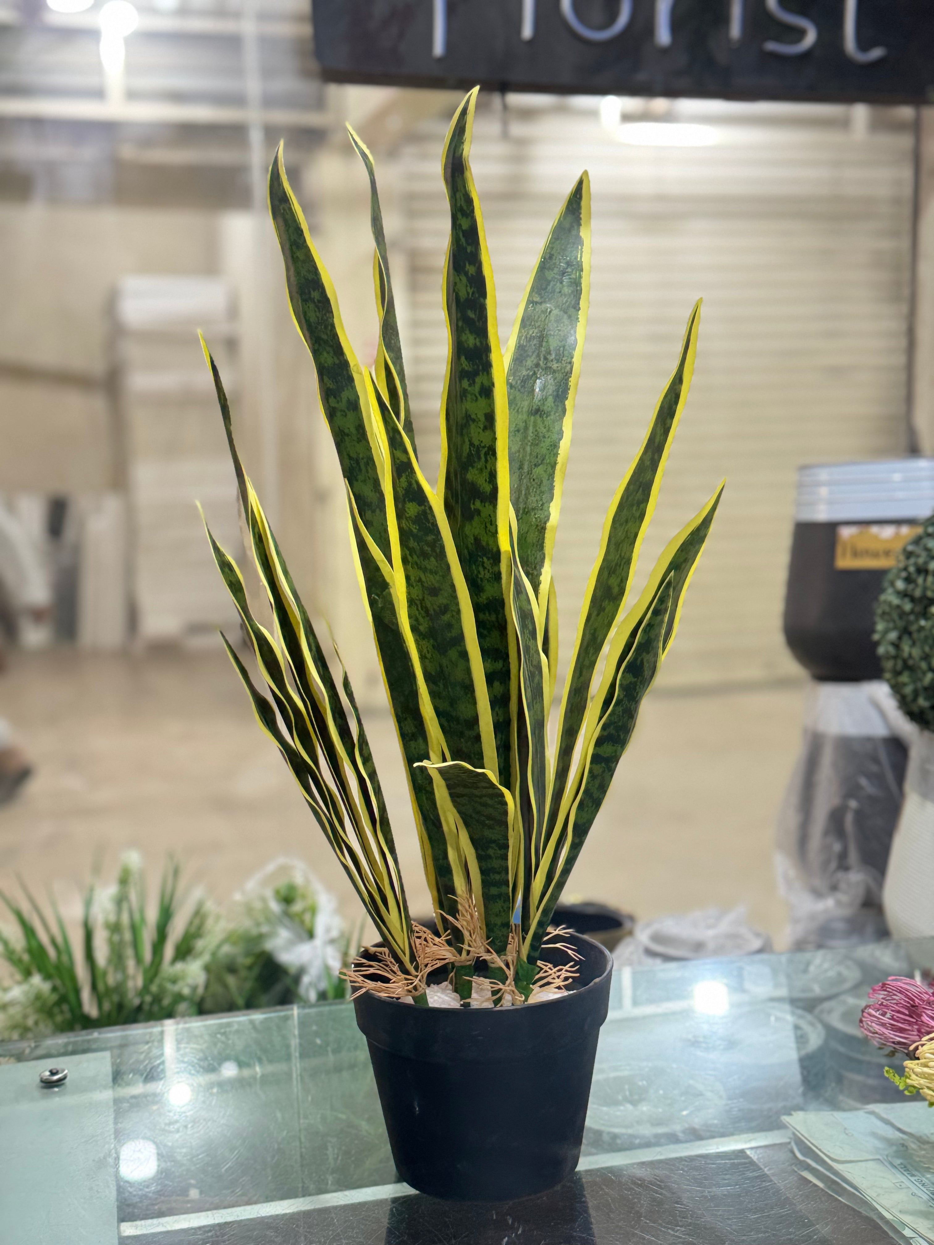 Premium Artificial Snake Plant