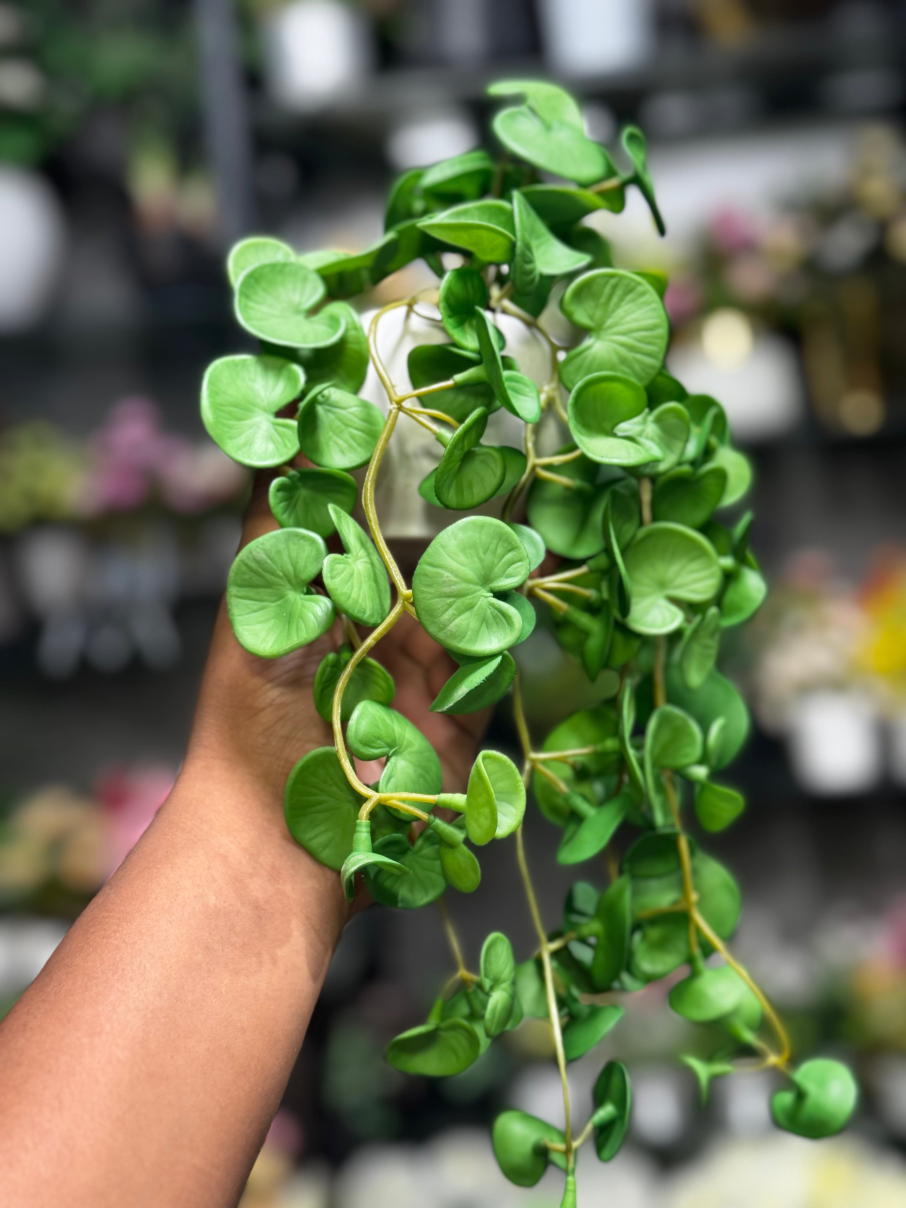 Real Looking hanging plants