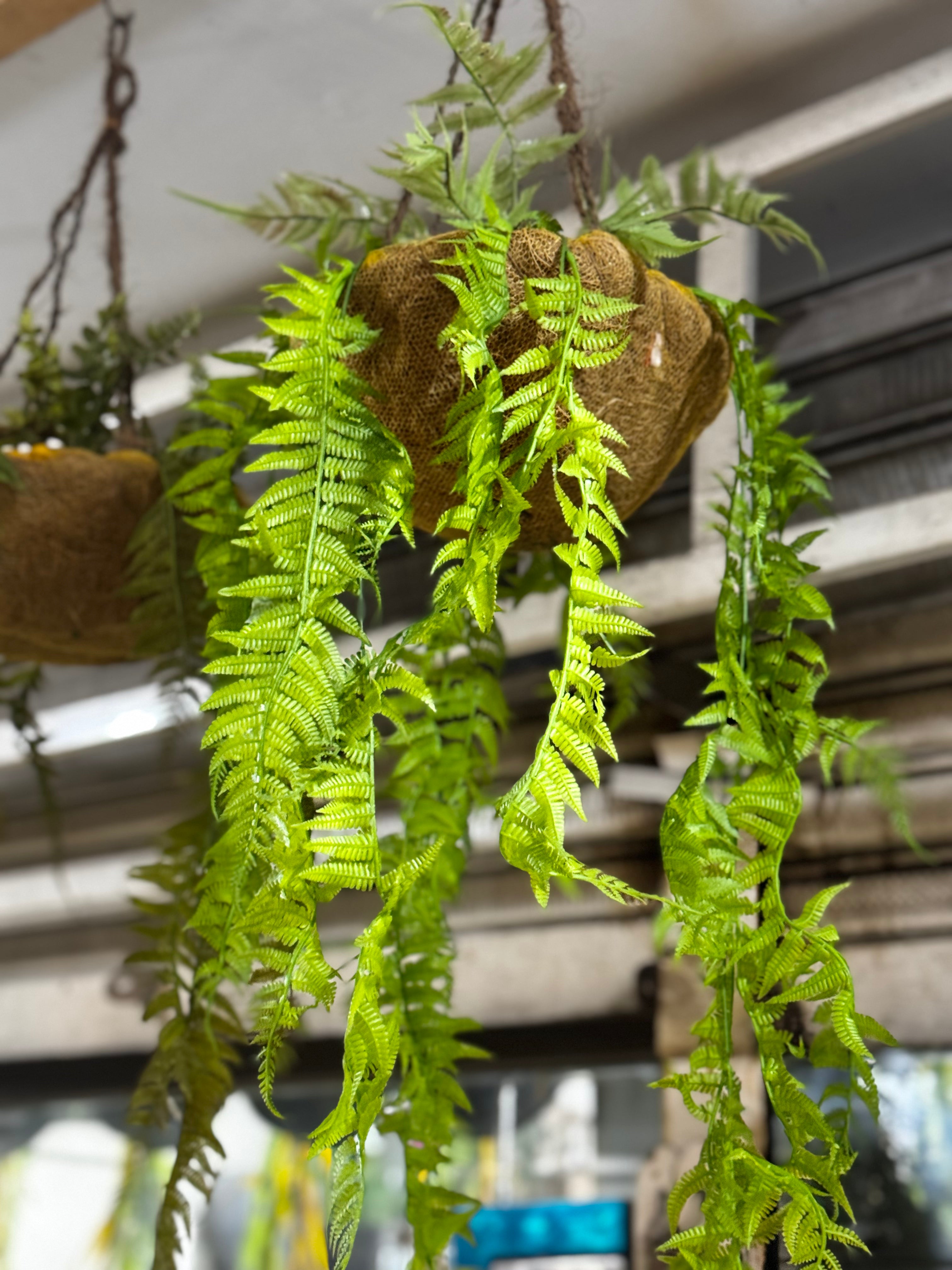 Premium hanging baskets