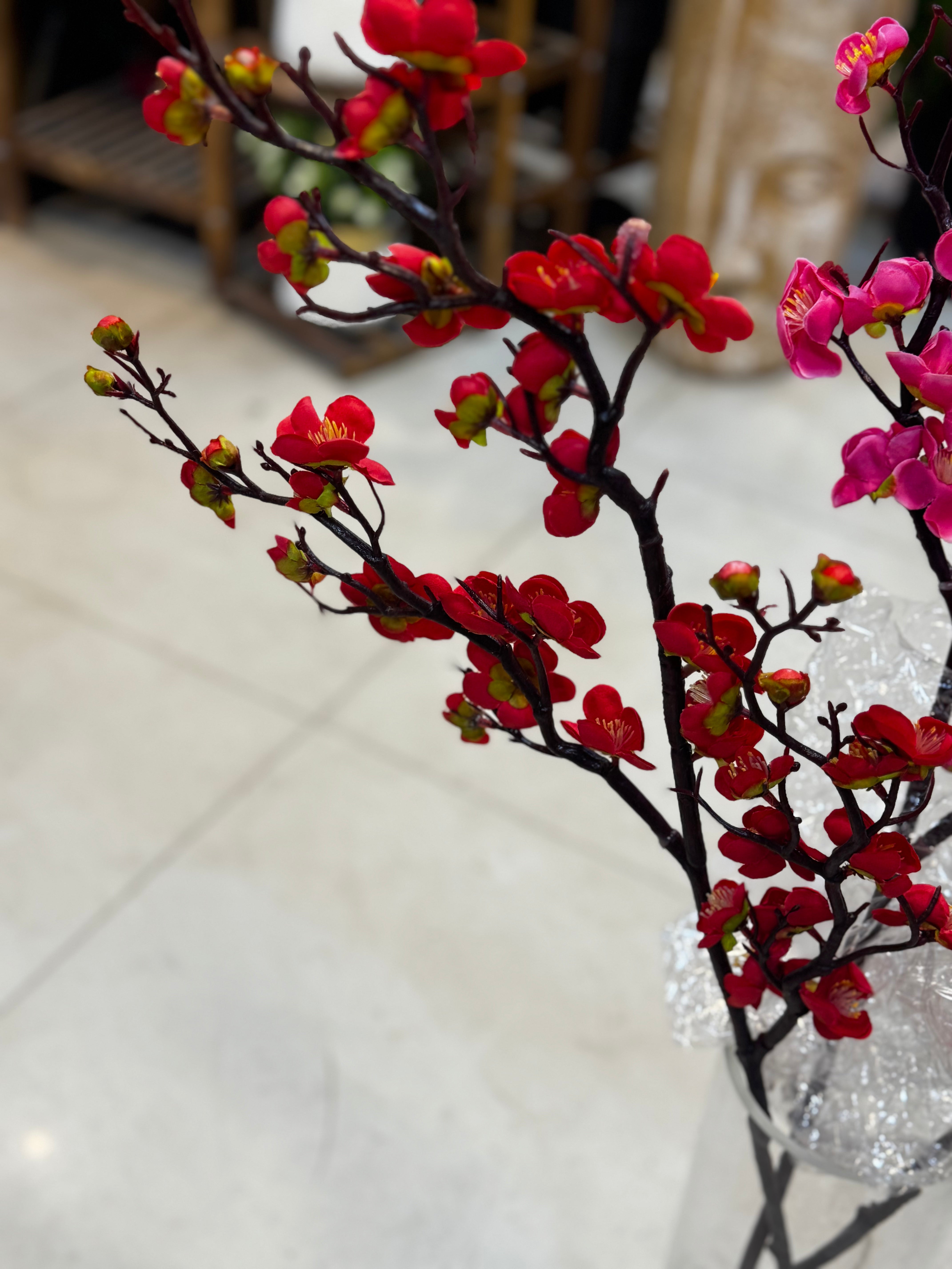 Premium cherry blossom