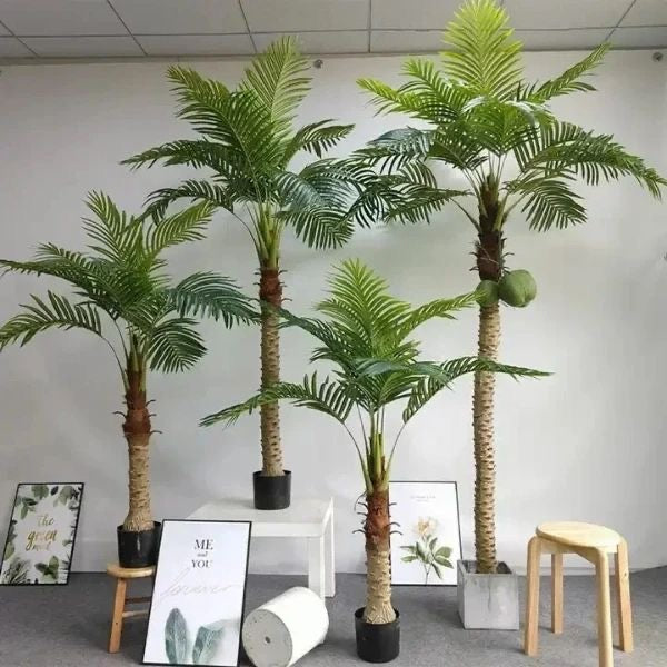 COCONUT PALM TREES