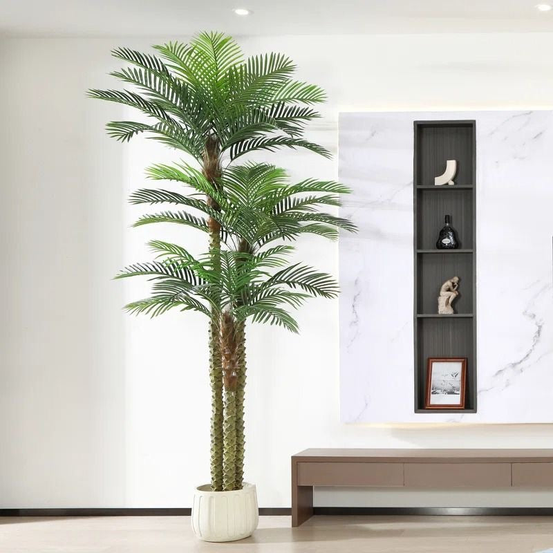 COCONUT PALM TREES