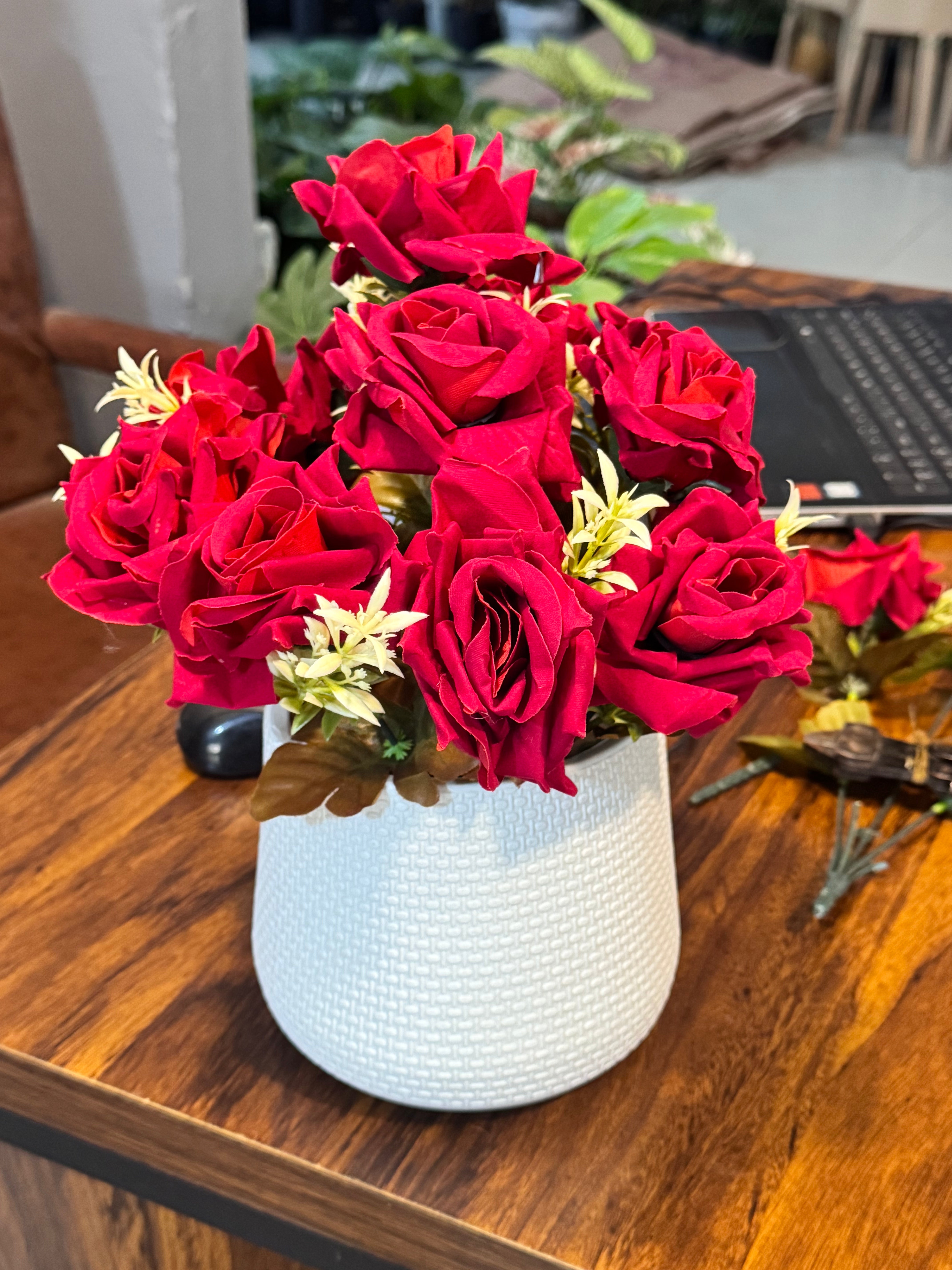 Premium Velvet Roses pot