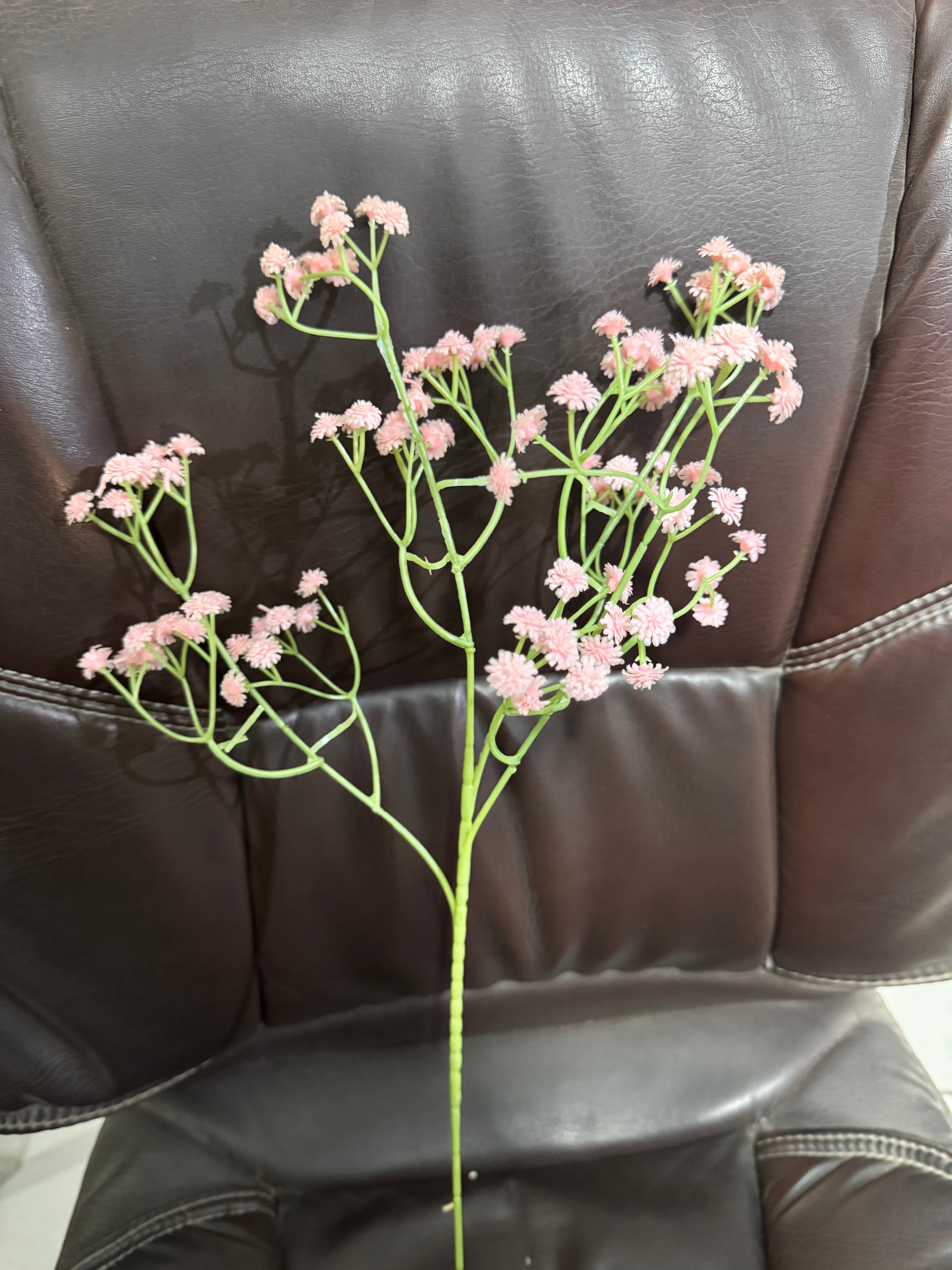 Baby's Breath stems