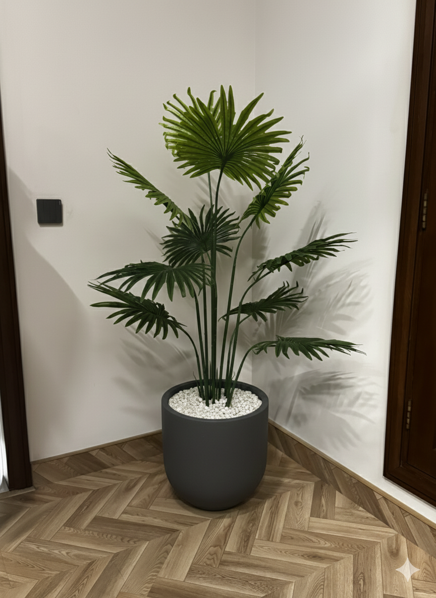 Premium Deliciosa Plant with Planter