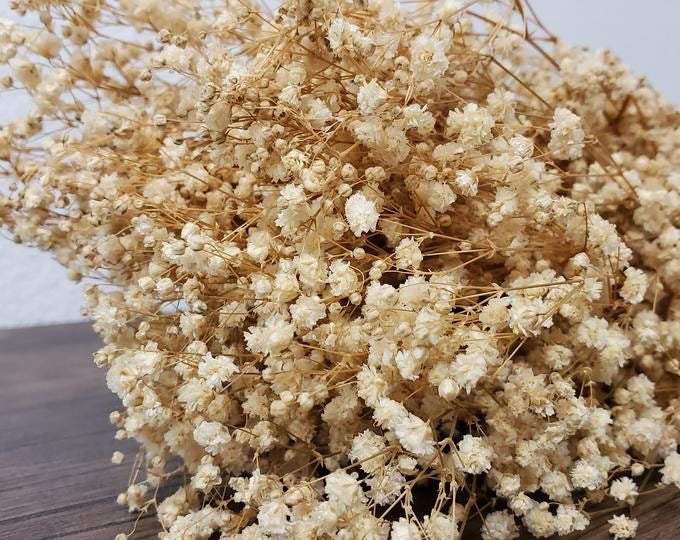 PREMIUM Dried Babybreaths Pack