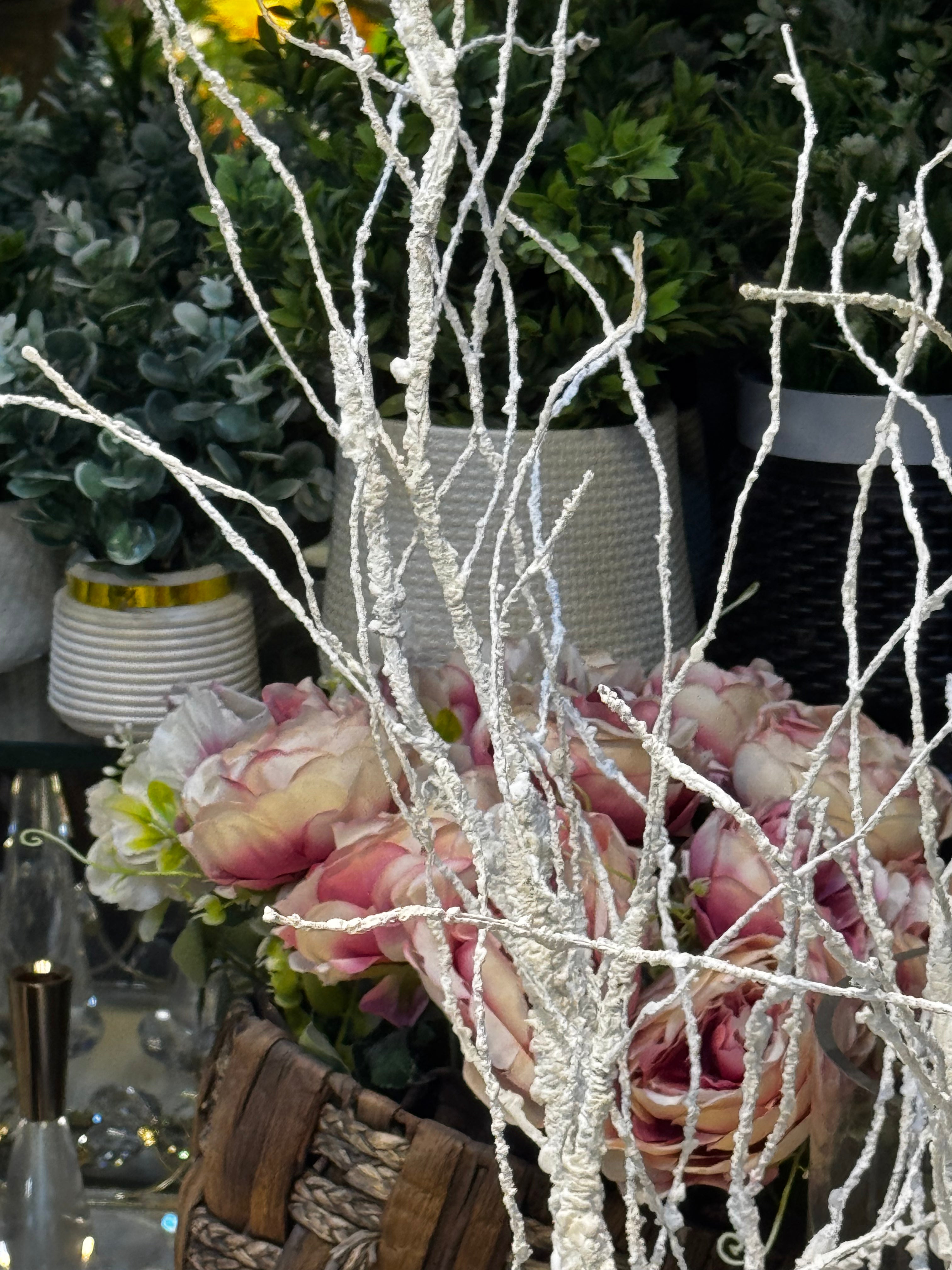 Soft Dried White Branches