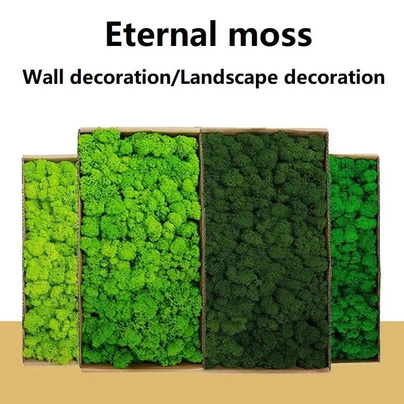 Natural Preserved -Moss