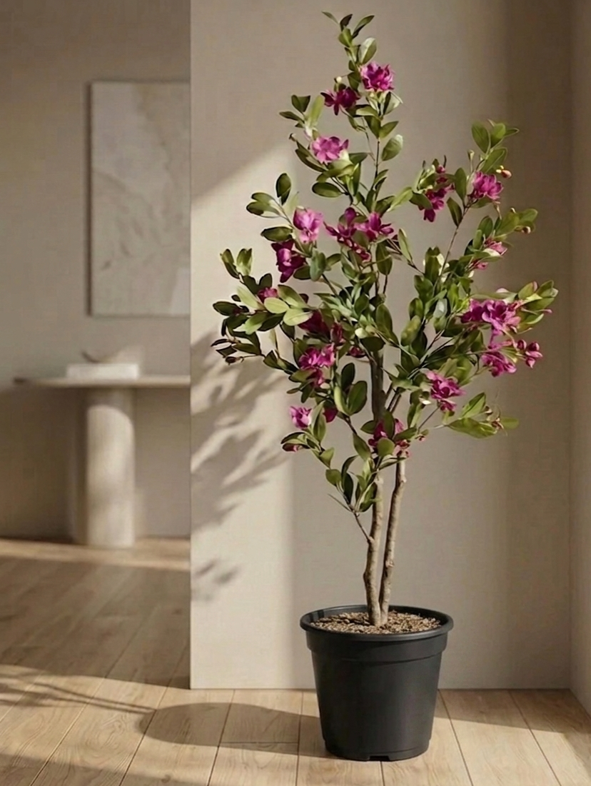 Elysian White n Pink Blossom Tree
