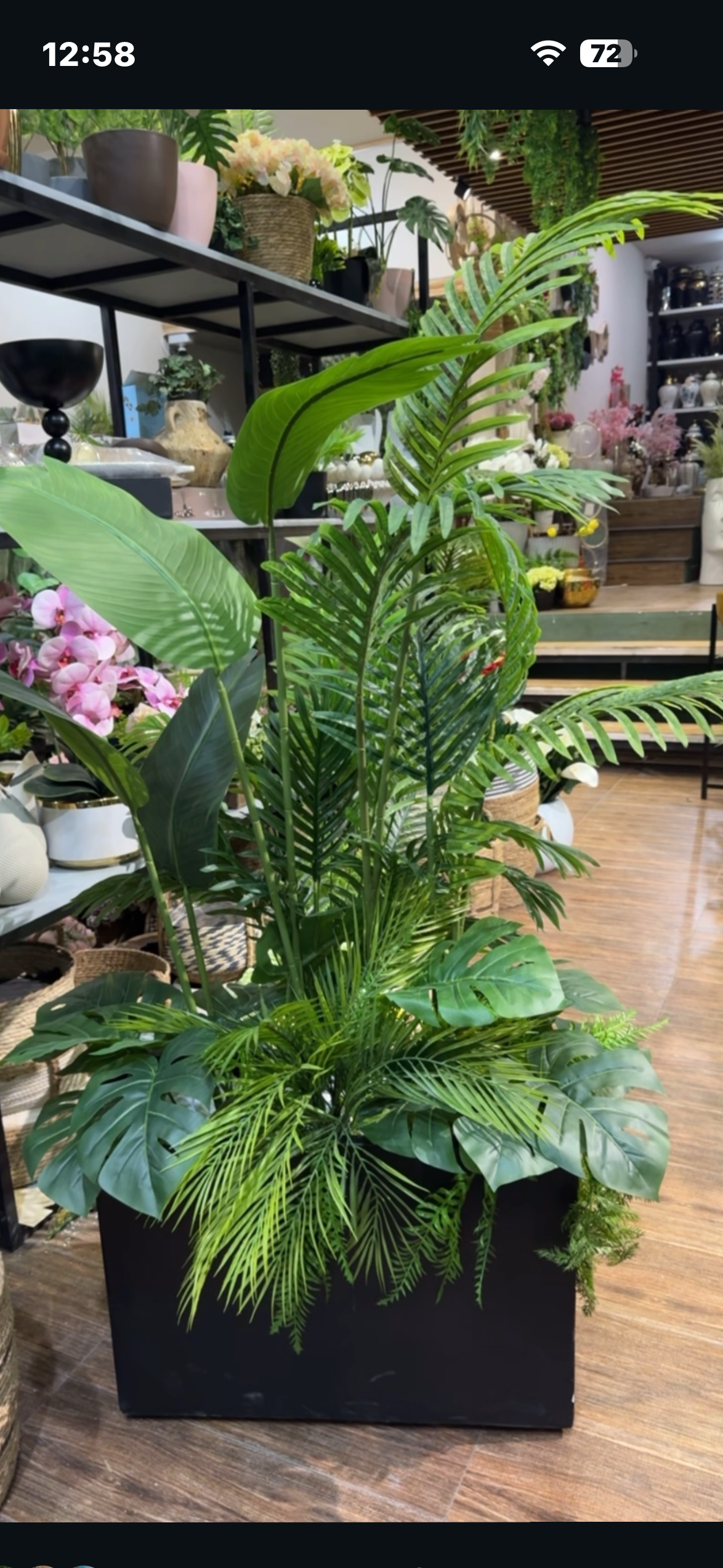 Tropical Garden Planter