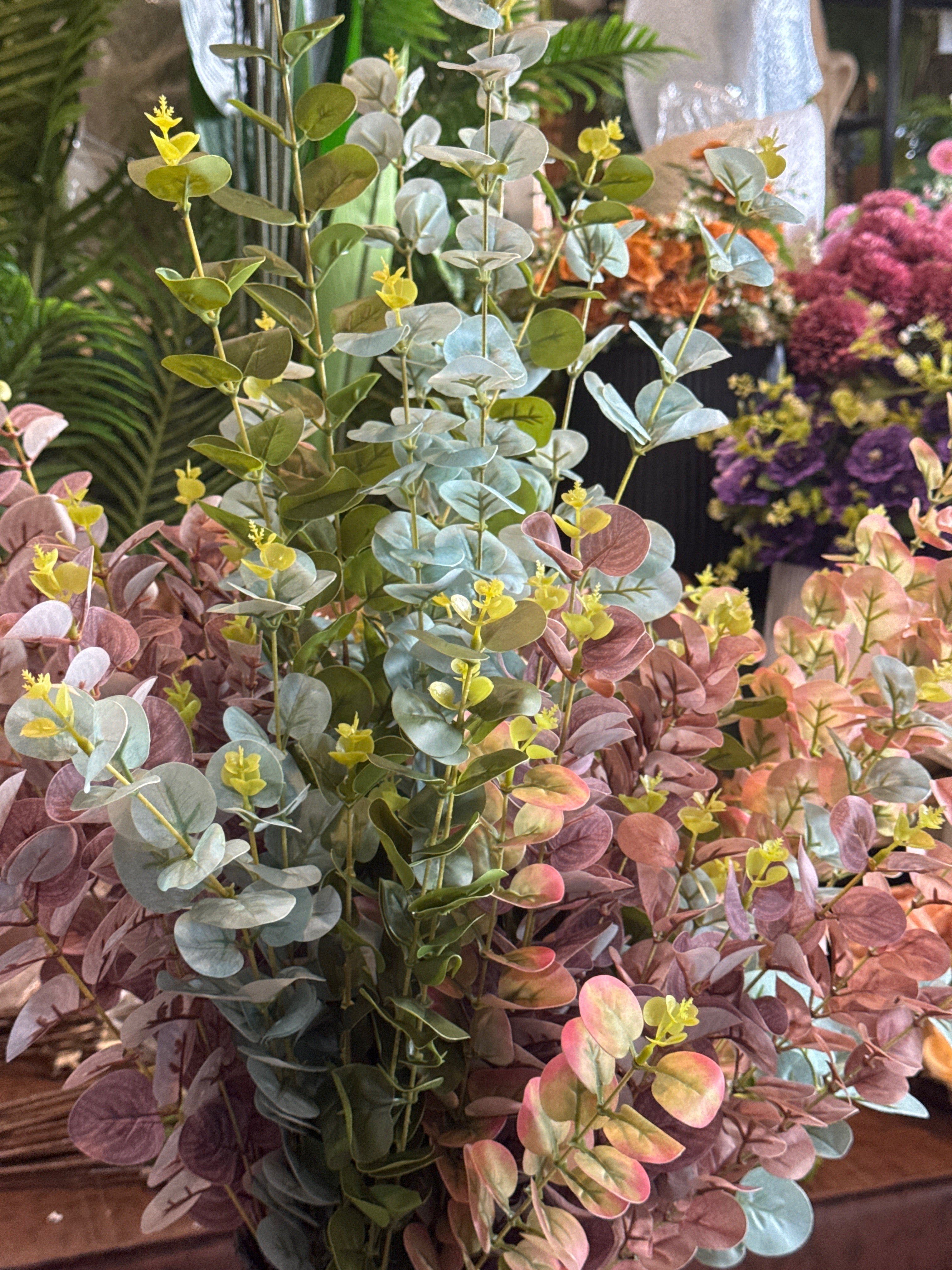 Vibrant Spring Eucalyptus Stems