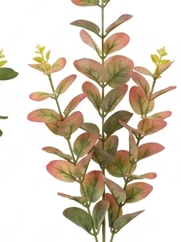 Vibrant Spring Eucalyptus Stems