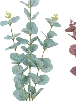Vibrant Spring Eucalyptus Stems