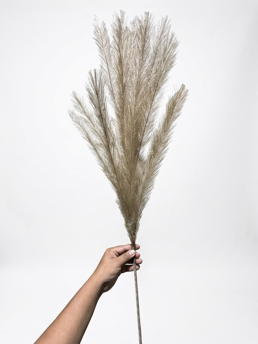 Fluffy Pampas stem