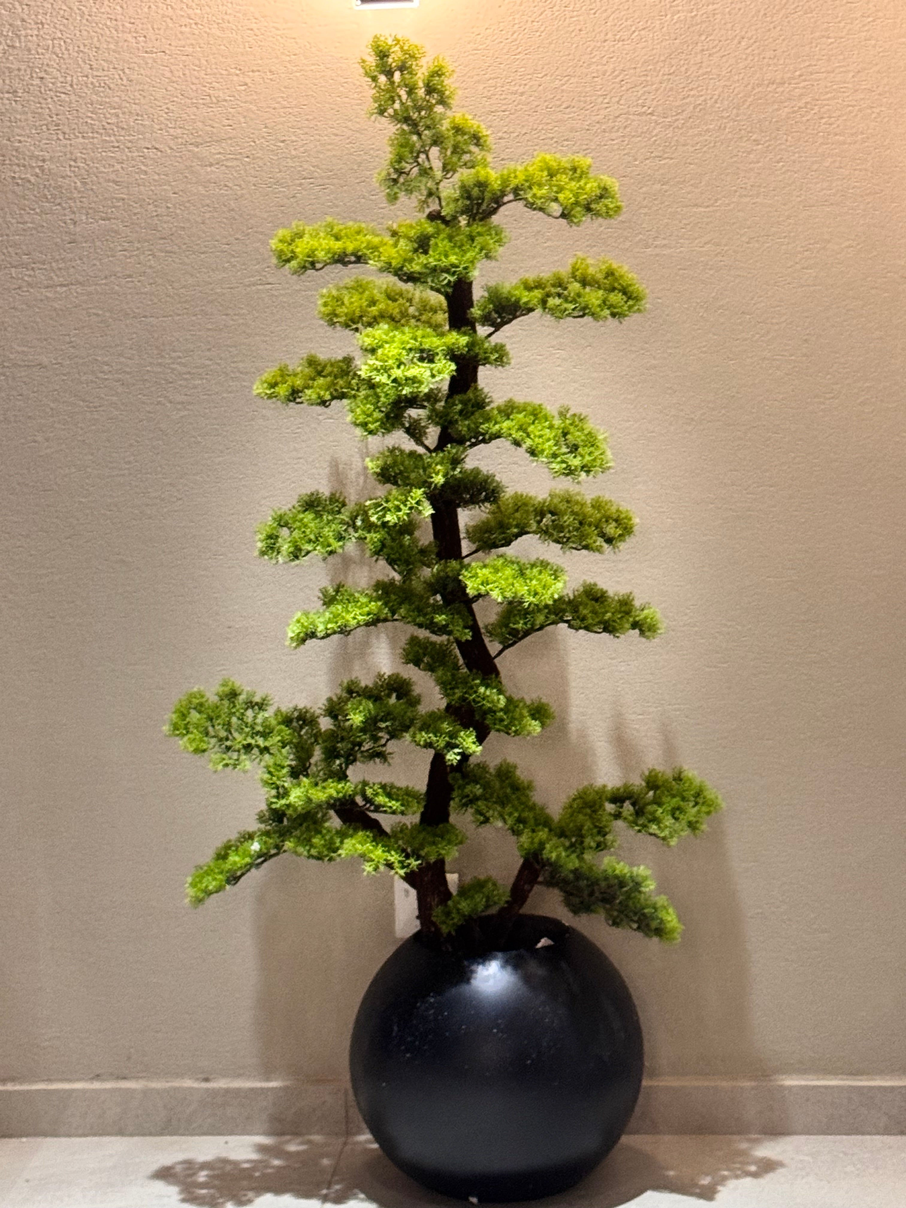 Exclusive bonzai with sphere planter