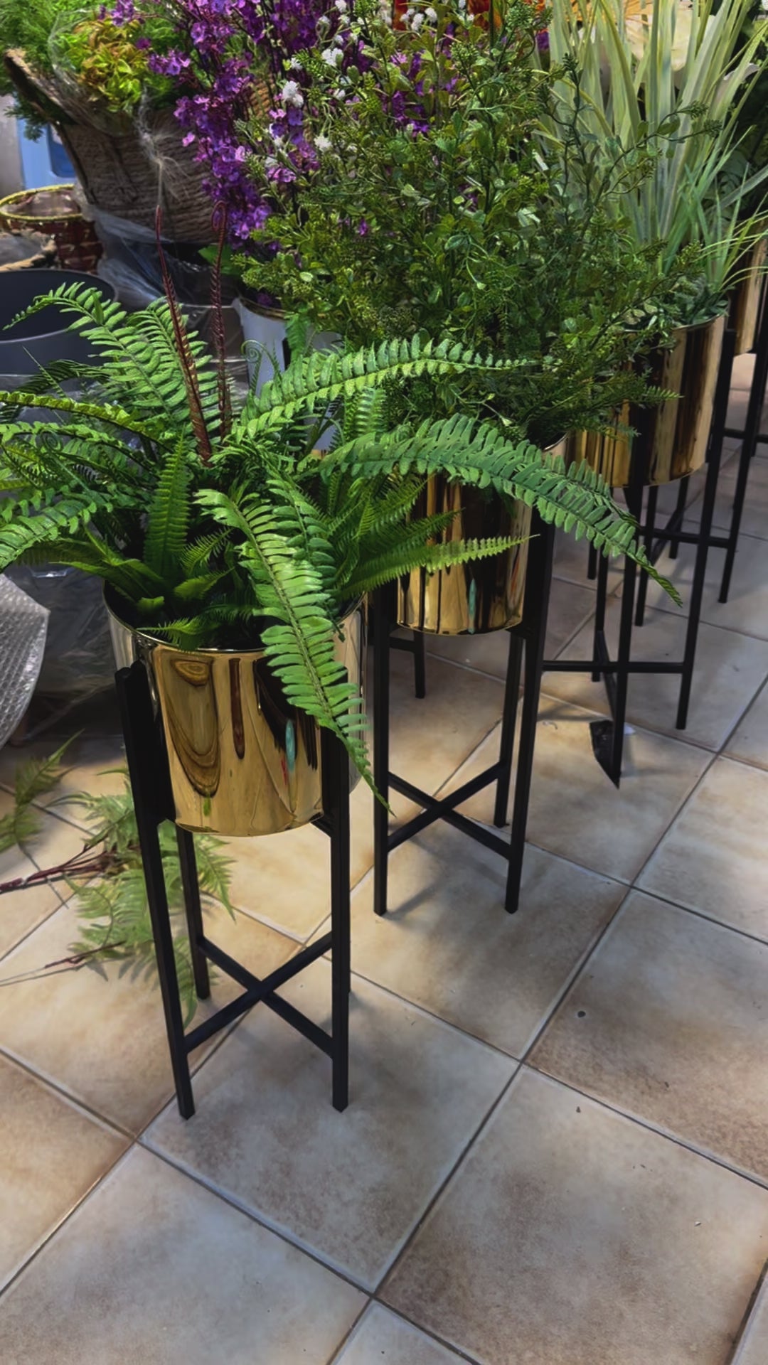Metal stand with plants