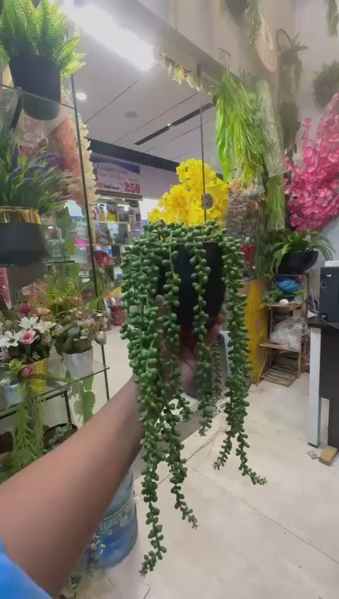 Pearls hanging pot