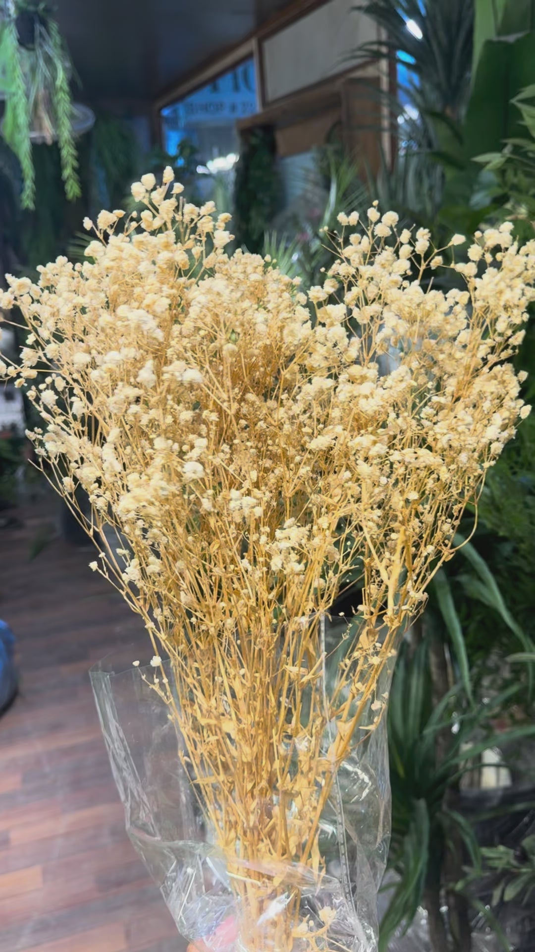 PREMIUM Dried Babybreaths Pack