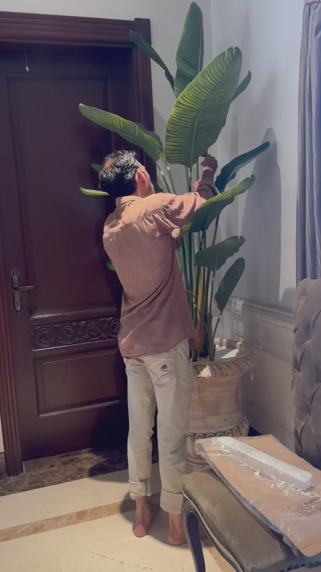 Majestic Banana Palm with Antique Victorian Urn