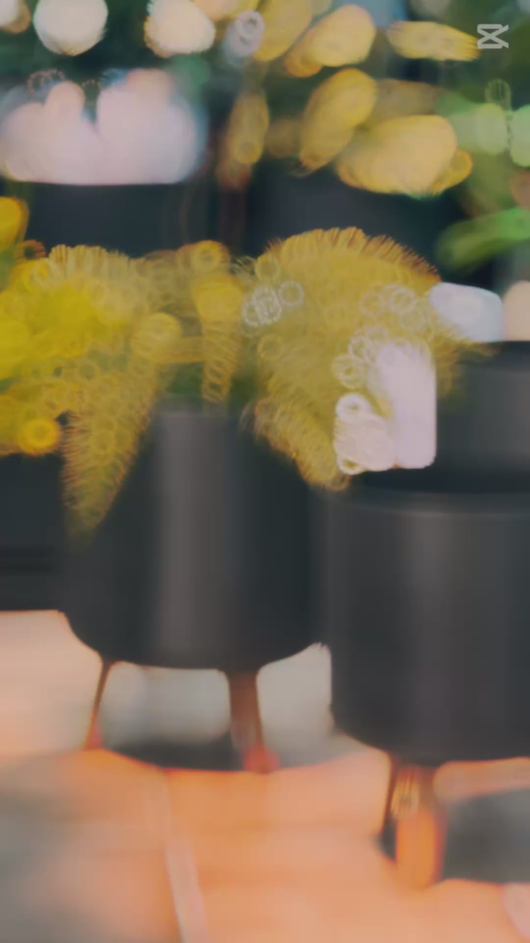 Modern tripod planter