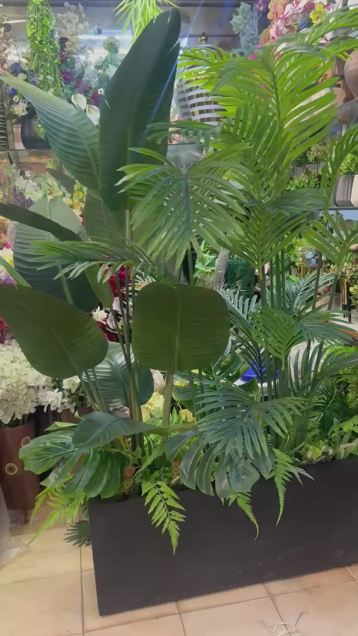 Exclusive Kiary with high end Plants