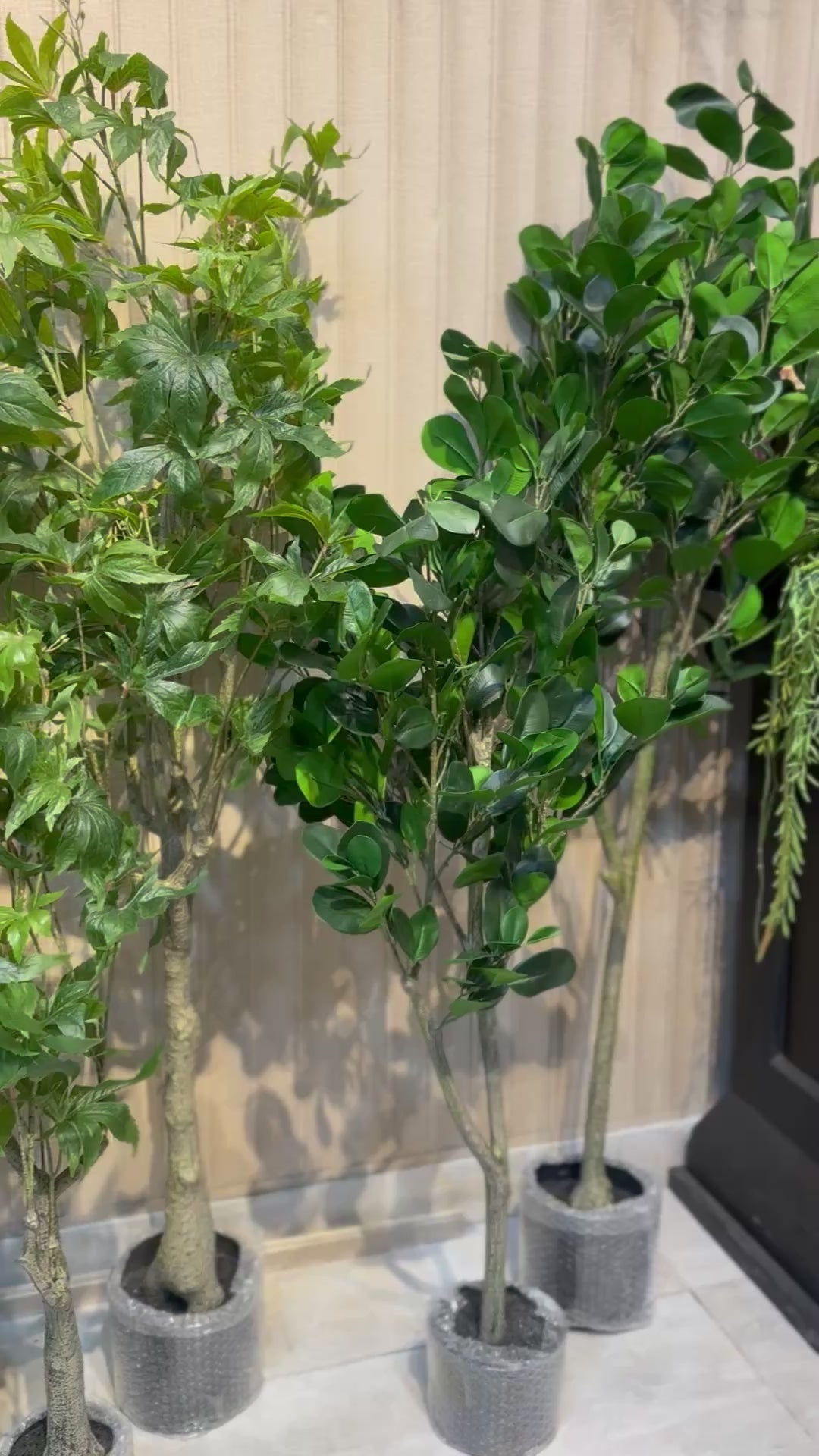 EXCLUSIVE REAL LOOKING PLANTS