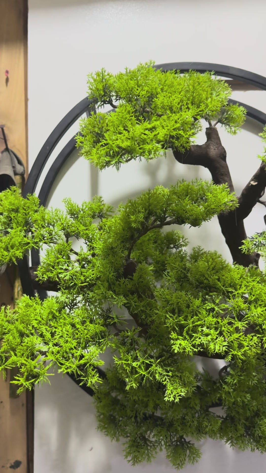Wall mounted bonsai