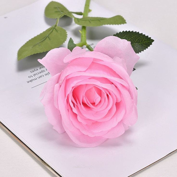 Premium Velvet Rose Stem