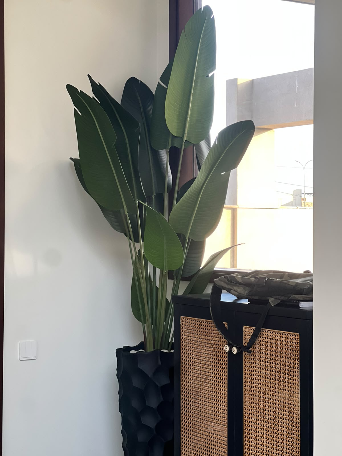 Exclusive Banana leaf WITH CURVY PLANTER