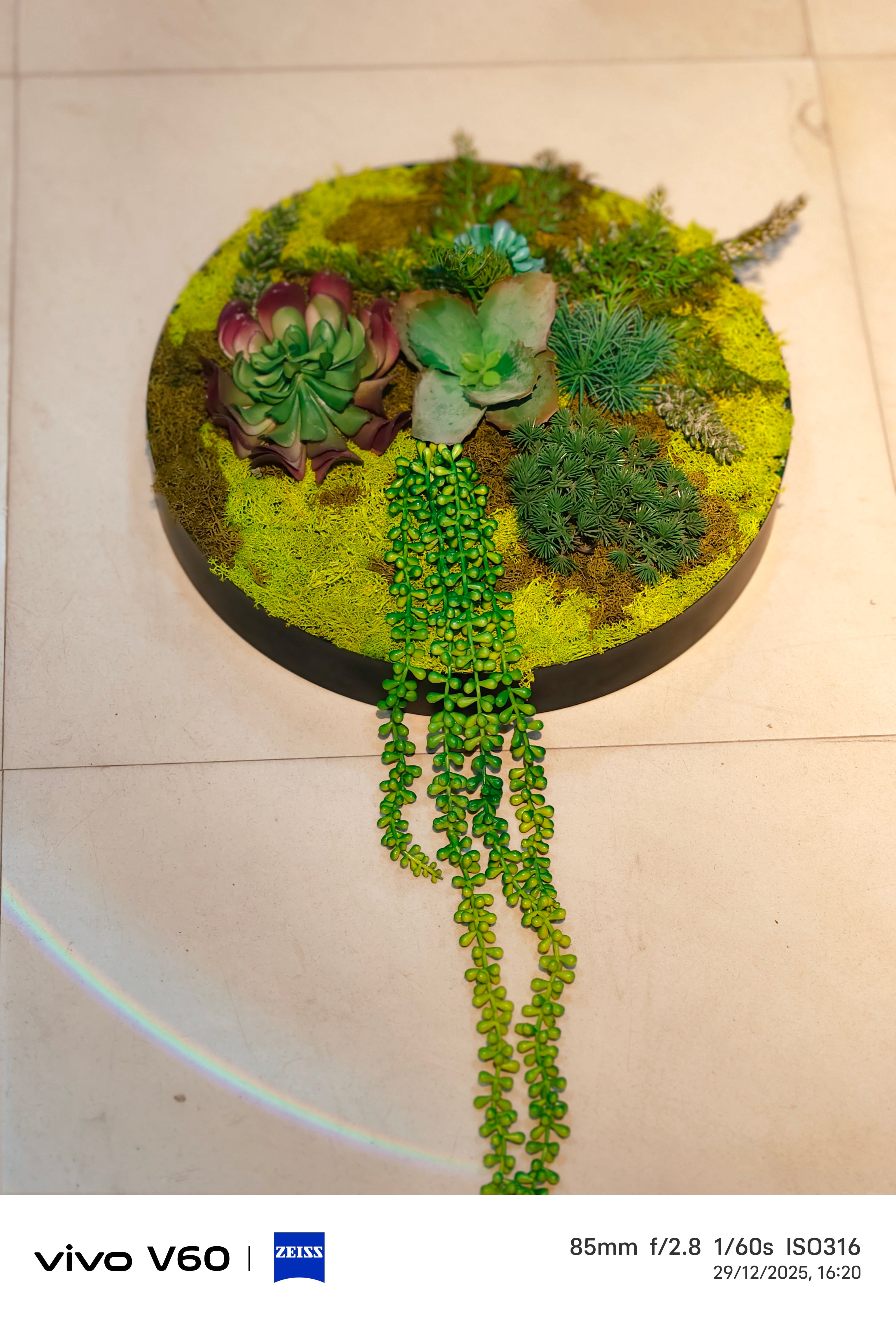 Moss Drift -Wall art