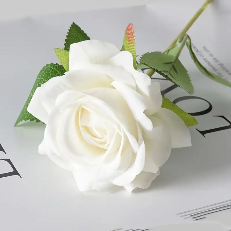 Premium Velvet Rose Stem