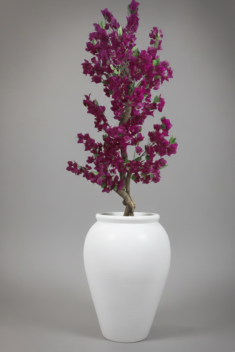Premium Bougainvillea Tree with Surahi planter