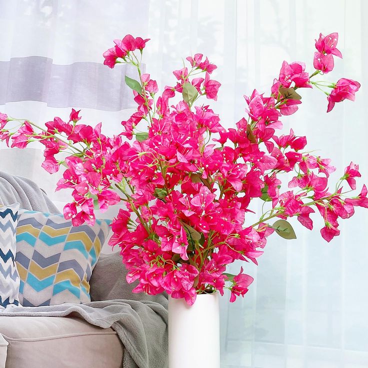 Bougainvilleas stems