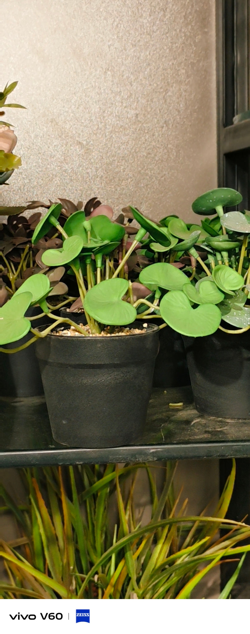 Life-like mini plants