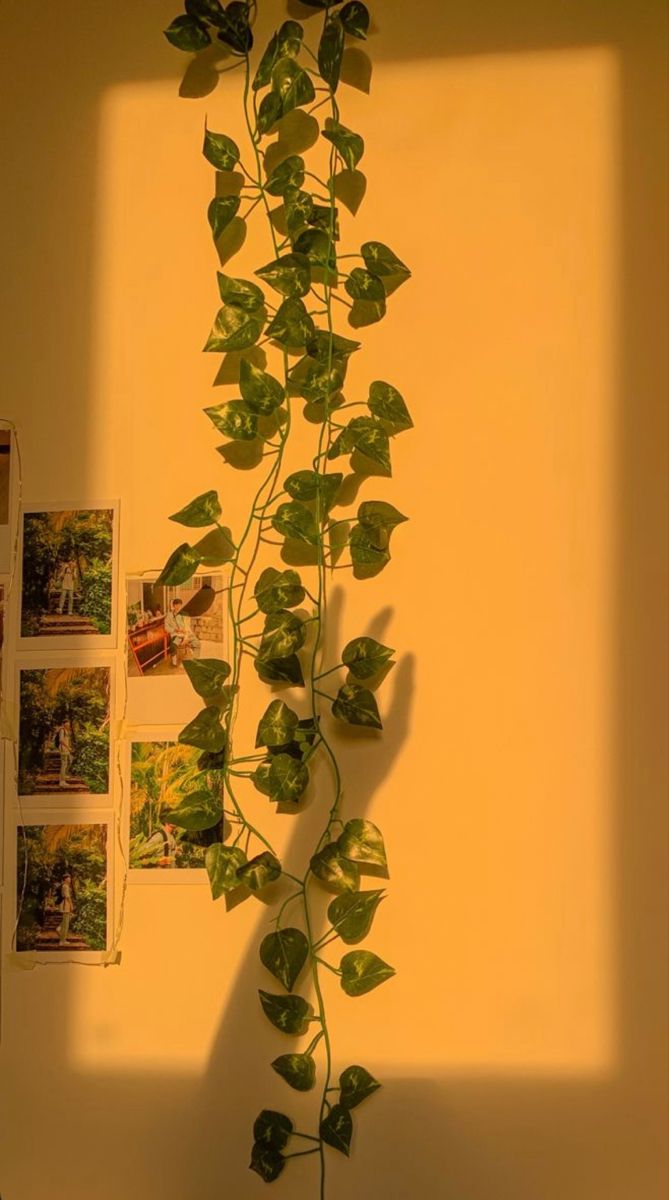 HANGING LEAVES VINES (bails)