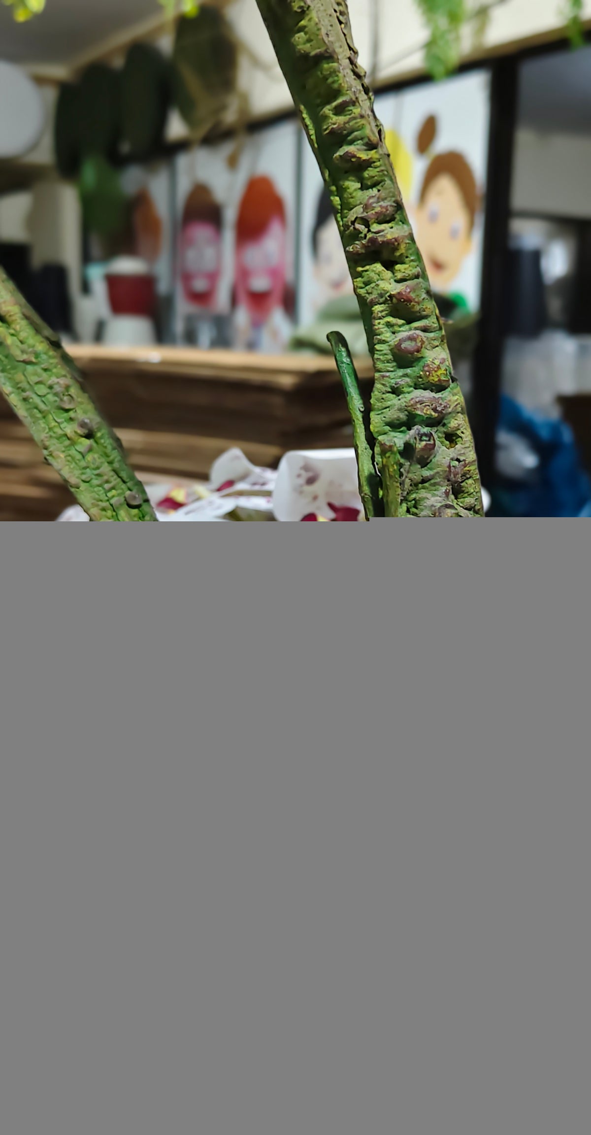 Exquisite Hyper-Realistic  Moss Stem