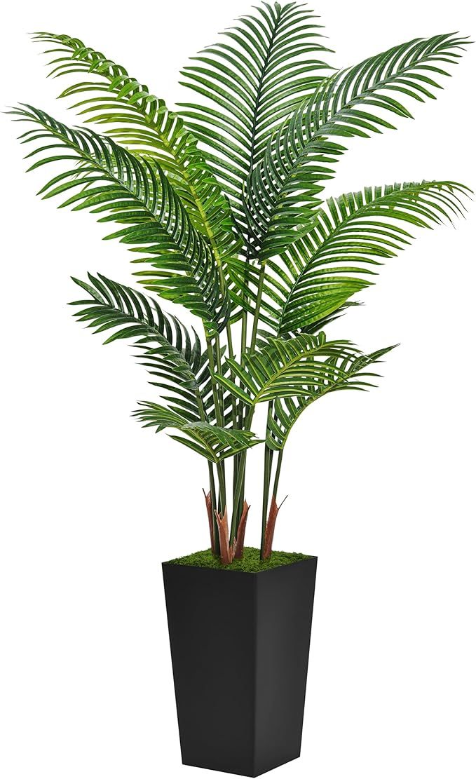 Areca Palm With Square Tapered Planter