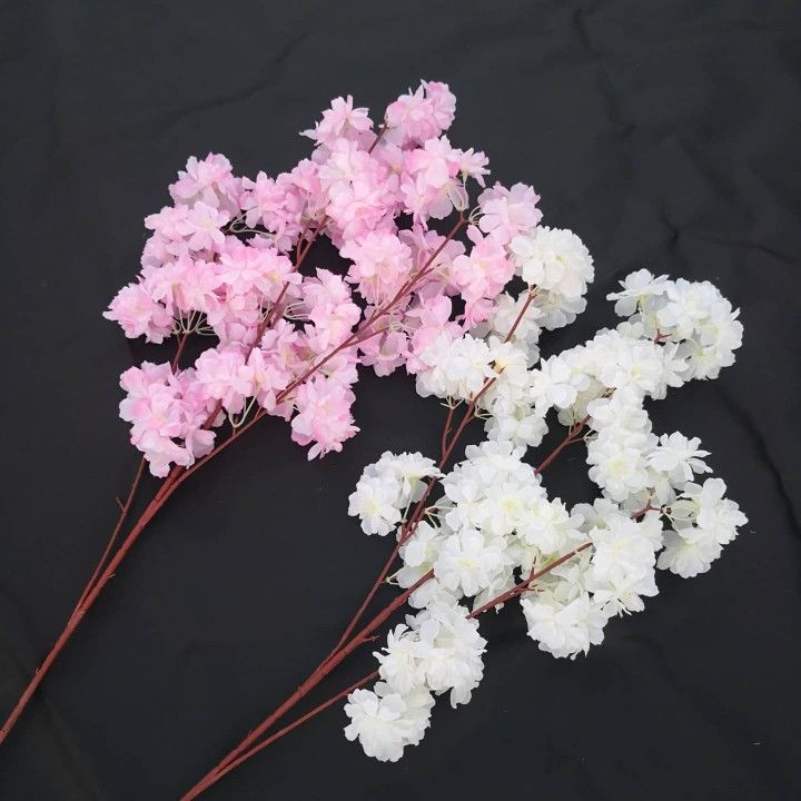 CHERRY blossom Stems