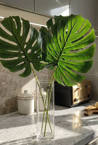 Monstera leaf